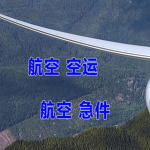 伊尔施空运代理快递-选东方航空和上海航空