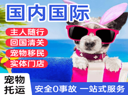 伊尔施空运代理国际宠物托运 【国